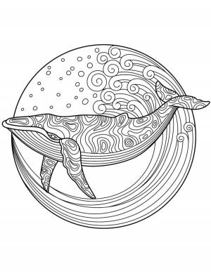 Кит картинка раскраска