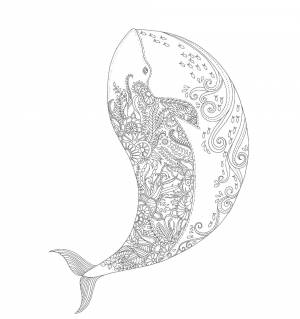 Кит с морским узором