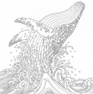 Раскраски Антистресс кит