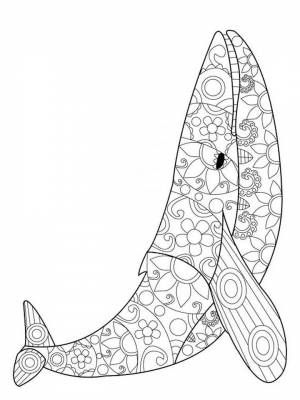 Раскраска Кит Антистресс  в формате  онлайн