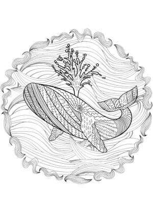 Картинка Кит Антистресс  для детей