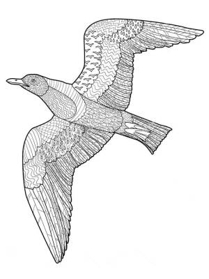 Раскраски Арт терапия