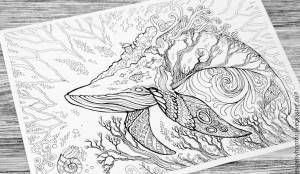 раскраски на тему кит для детей