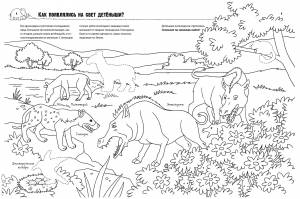 книга-раскраска «Как? Почему? Зачем? Раскраска