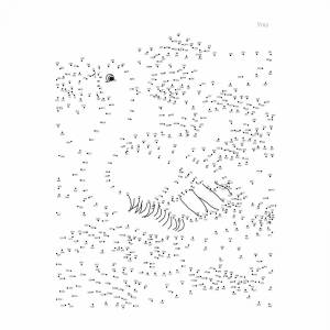 Книга Животные