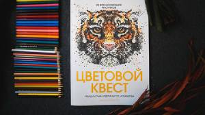 Отправляемся в цветовой квест