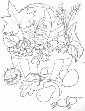 Осенний букет из сада