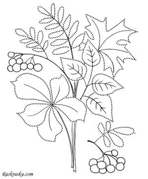 DataLife Engine > Версия для печати > Раскраска осенний букет