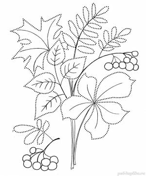 Осенний букет шаблон