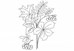 Осенний букет рисунок карандашом