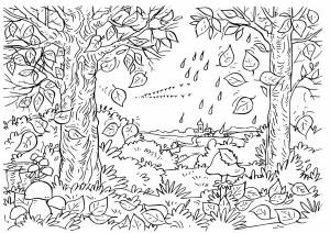 Раскраска Осень наступает