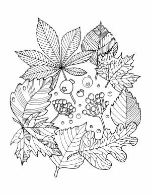 Красивые осенние раскраски