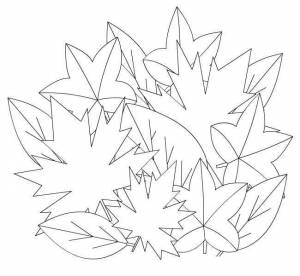 Раскраска Осенний букет