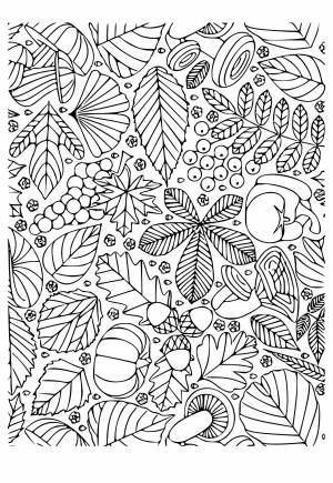 Раскраска Осень Листья