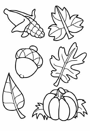 Раскраска Осень Урожай