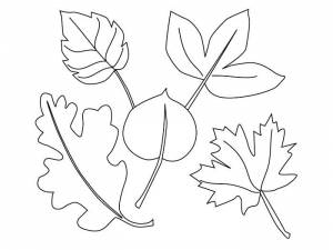 Раскраска Осень золотая