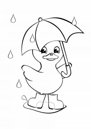 Раскраски Осень для детей 3 4 лет