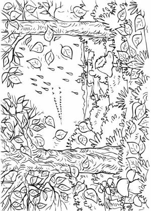 Раскраски года, Раскраска осень в лесу Времена года