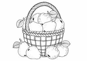 Раскраски осень для детей и взрослых  и