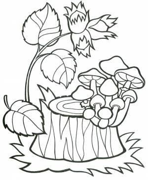 Раскраска Осень