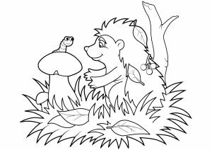 Раскраски осень для детей и взрослых  и