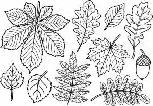 Раскраска осень