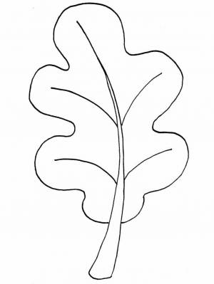 Раскраска Осенние листья деревьев, листья клена, листья дуба, листья рябины, листья березы