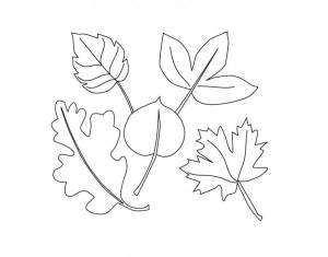 Раскраски осень