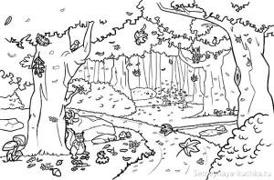Картинки для раскрашивания осенний лес