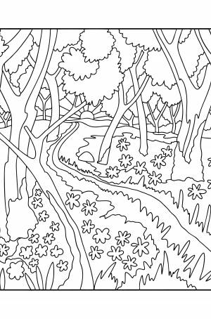 Лес раскраска