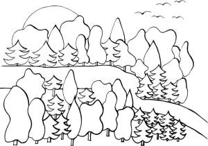 Раскраска «Осенний лес»