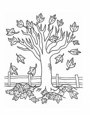 Рисунок раскраска золотая осень деревья