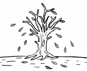 Раскраска дерево без листьев