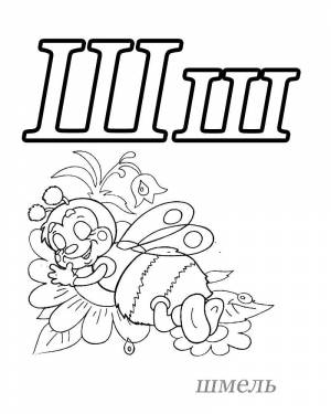 Раскраски шмель, Раскраска Ш шмель азбука