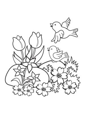 Раскраска Май