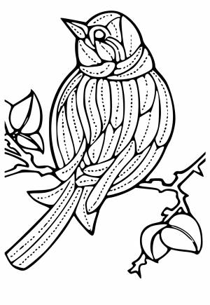 Раскраска Март Птица