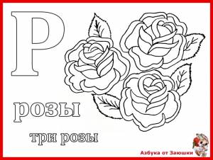 Буква Р, розы, раскраска