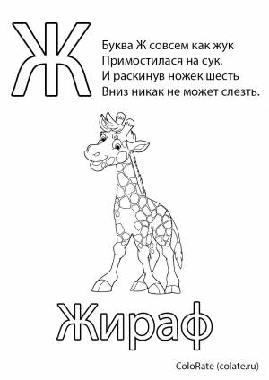 Раскраска Буква Ж