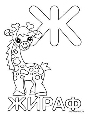 Раскраска Буква Ж