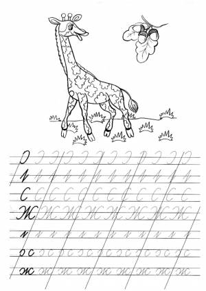 Прописи буквы Ж для 1 класса