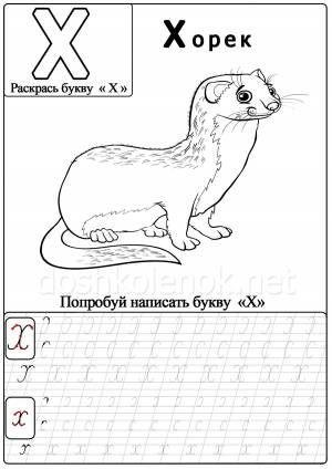 Буква Х прописная и маленькая, учим с детьми