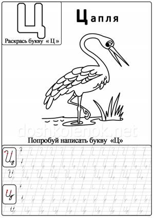 Учим с ребенком маленькую и прописную букву Ц