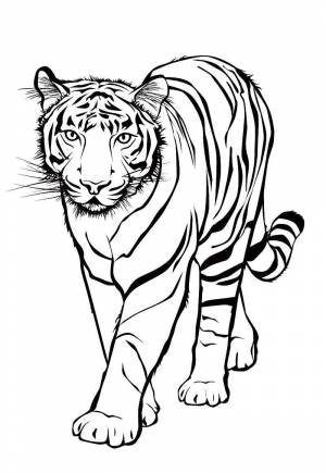 Буква Ж жирафы