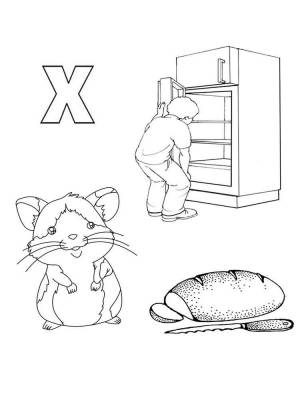 Буква Х холодильник, хомяк, хлеб