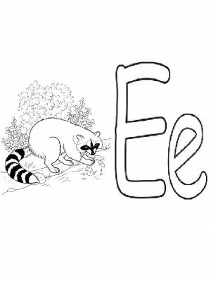 Раскраска буква Е и енот