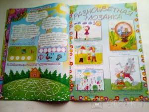 Журнал Шишкин лес, номер 7, июль 2009г