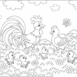 Раскраска Семья петушка
