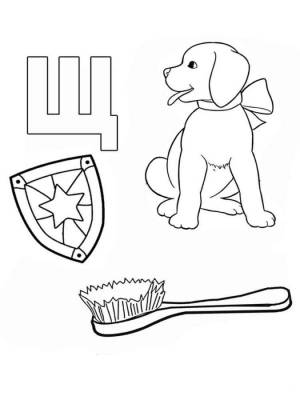 Буква Щ щенок, щит, щётка