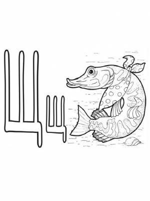 Раскраска буква Щ и щука