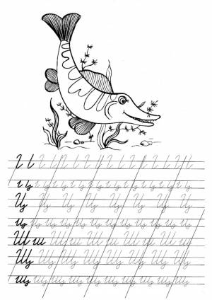 Прописи букв Ц, Ш